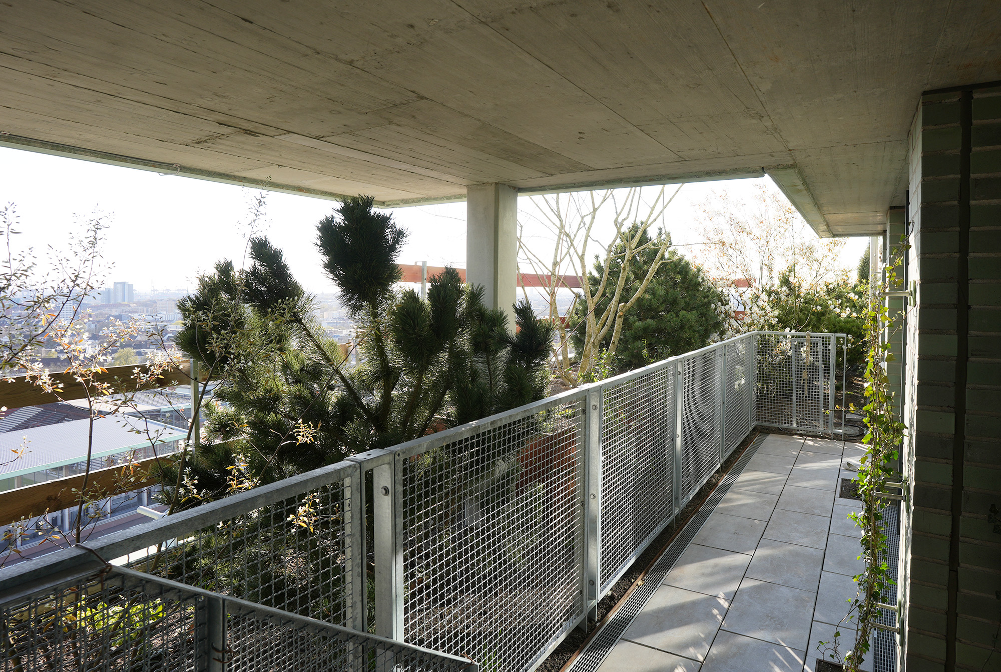 Grüner Bunker St. Pauli Foto Bepflanzung Balkon Hotel Kiefer Felsenbirne L+ / Landschaftsarchitektur+